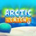 slot Arctic Catch