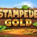 Recensione slot Stampede Gold