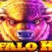 Buffalo King slot su Winnita Casino - recensione completa con bonus, vincite e RTP